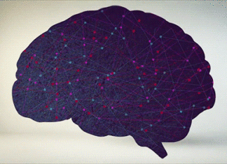 El programa de estimulación cognitiva llega a 23 localidades