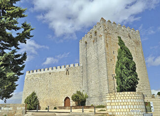 Programa de la “Batalla Nabal 2022” en Monzón de Campos