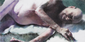 Cuadro de narciso maisterra