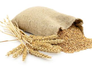 Luces y sombras en el balance agrario anual de Asaja Palencia