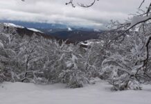 La Aemet mantiene los avisos amarillos por nevadas en zonas de montaña de Palencia