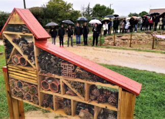 La Diputación destinará 120.000 euros al Programa ‘Palencia a Huebra’