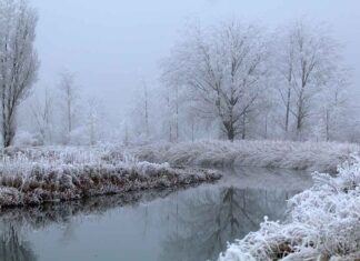 RECONOCER PALENCIA – La literatura que nos falta
