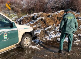 La Guardia Civil formula 14 denuncias sobre sanidad y bienestar animal en una explotación del norte de Palencia