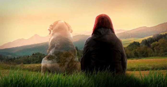 cielo-animal-despedida