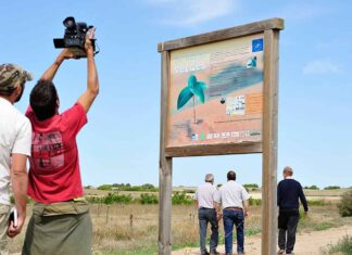 Universidad: estudiar en Palencia. Escuela Técnica Superior de Ingenierías Agrarias