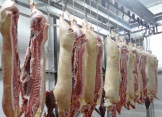 Saldaña empieza la búsqueda de alguien que quiera hacerse cargo del matadero hasta 2031