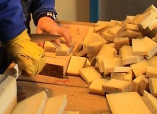 Torquemada San Marcos