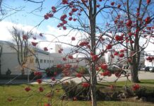 Campus de La Yutera de Palencia.