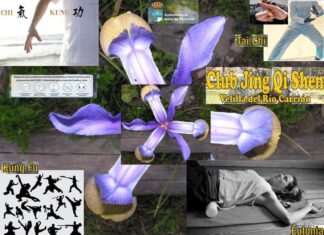Velilla abre las puertas al tai chi y el chi kung