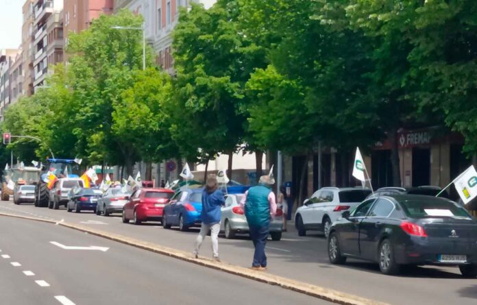 uccl-manifestacion-pac-palencia