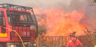 Incendio en Ávila UME