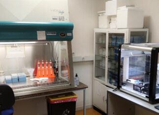 La Red Centinela Sanitaria aprecia un estancamiento de la quinta ola entre jóvenes