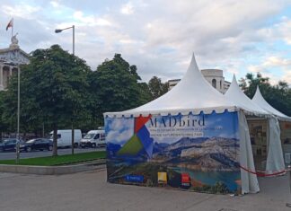 Castilla y León en Mad Bird Fair