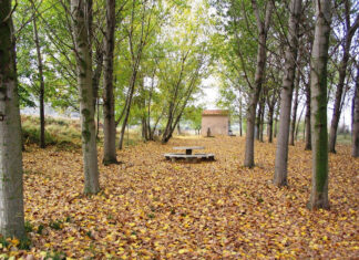 Nace la plataforma +ChopoSí Chopera