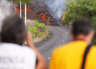 Husillos y su mercado, con La Palma