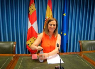 virginia bascones delegada gobierno cyl