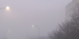 Niebla está mañana en la capital, en la avenida de Asturias.