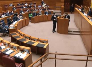 Imagen de un Pleno de las Cortes de Castilla y León.