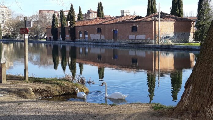 Imagen de la Dársena del Canal en Palencia Allende el Río