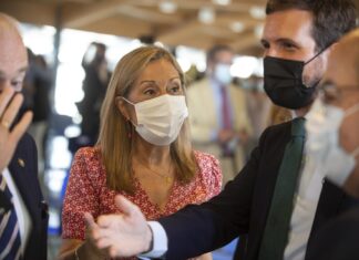 Covid: “autoridad sanitaria” antes de fin de año para no tener “17 Navidades distintas”