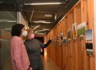 Ya puedes ver la Exposición de fotografías de Medio Ambiente de Palencia
