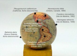 ‘Memorial de las diminutas muertes’: una exposición del palentino José Luis Viñas en Valladolid obra de Jose Luis Viñas memorial de las diminutas muertes exposicion en Valladolid