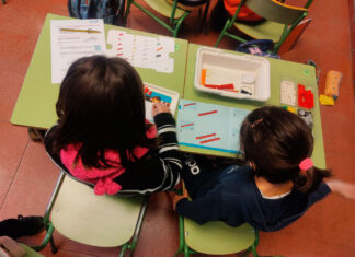 Día de la Mujer y la Niña en la Ciencia: Aquona con los coles de Palencia