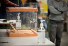 Snop Estampación CCOO