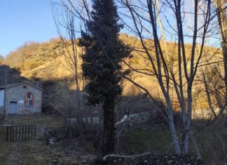 Otero rescata su molino: producirá electricidad