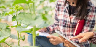 mujeres_tcm30-553714