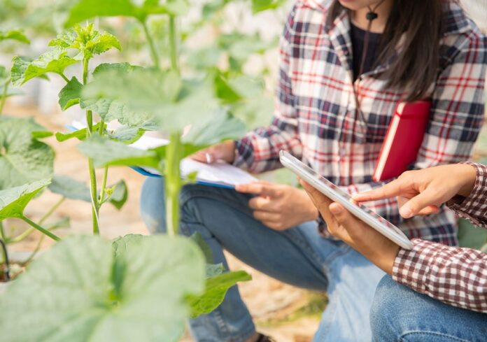 mujeres_tcm30-553714