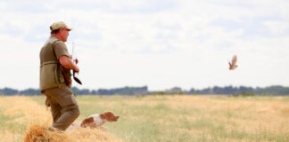 Un cazador y su perro localizan una codorniz. / Leticia Pérez (ICAL)