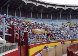 La Feria Taurina de San Antolín 2024 se presenta con homenaje a Pedro Giraldo Plaza de Toros de Palencia durante la celebración de una novillada.