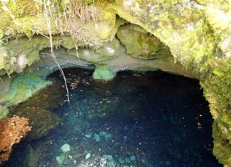 El Gobierno propone declarar Fuente Deshondonada como reserva hidrológica