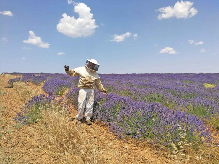 miel-el-camino-(4)-bu Miel El Camino (2)