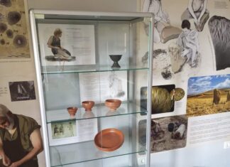 Esto se puede ver en el Aula Arqueológica que estrena Osorno Osorno La Mayor Palencia