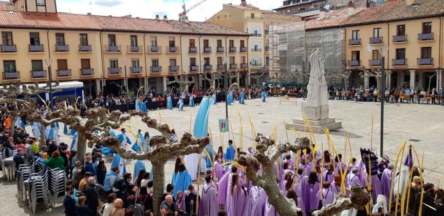 Procesi&oacute;n Domingo de Ramos Semana Santa Palencia 2022
