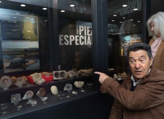 Fósiles palentinos como joya geológica