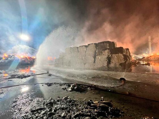 Incendio papelera Due&ntilde;as