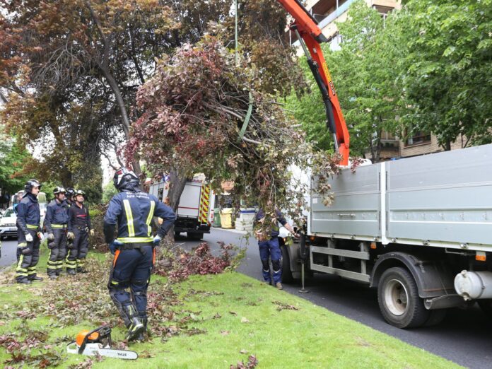 _04MAX201905427284 tormenta árboles Palencia