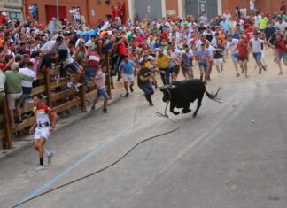 Corneado en el cuello un joven durante el Toro Enmaromado de Benavente 2022 Toro enmaromado benavente
