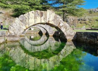 La Reana Velilla del Río Carrión 2022