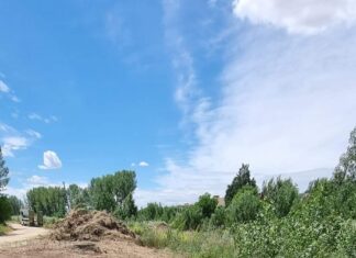 Nueva zona verde fluvial en Villamuriel de Cerrato