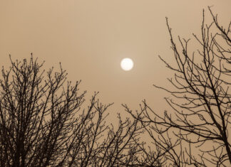 La contaminación atmosférica afecta a toda la población de la Comunidad en 2021 aunque la COVID y el cierre de las térmicas mejora la calidad del aire