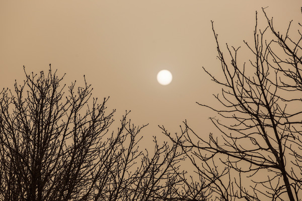 Calima en la capital leonesa