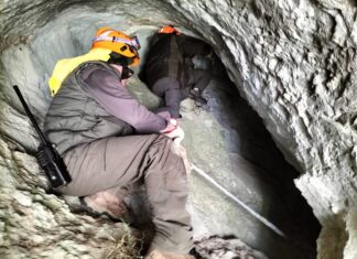 Hallan osa vida montaña palentina