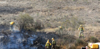 incendio forestal palencia