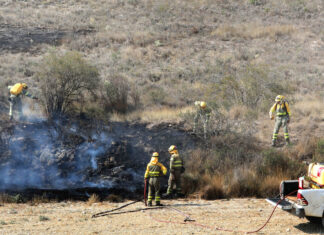 Un verano con sólo 4 hectáreas de bosque perdidas por el fuego en Palencia incendio forestal palencia