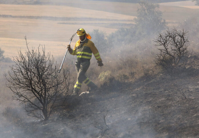 incendio forestal palencia